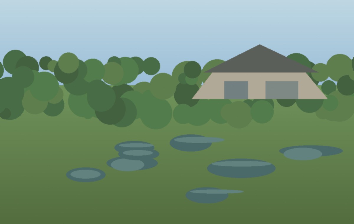 Wet Murfreesboro lawn conditions that may need a French drain or drainage correction